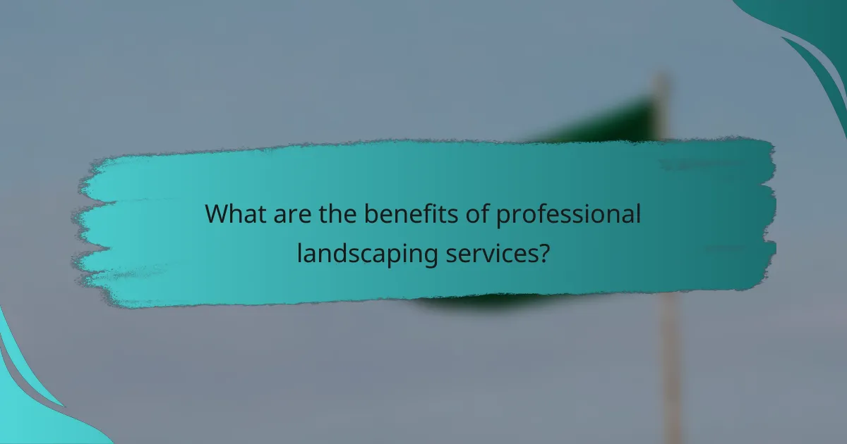 What are the benefits of professional landscaping services?