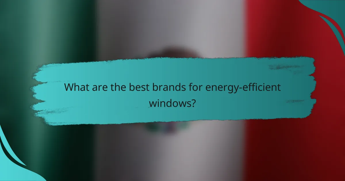 What are the best brands for energy-efficient windows?