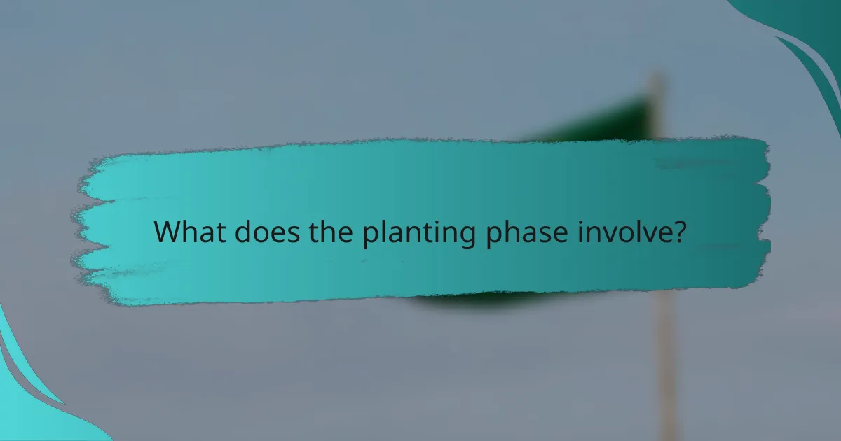 What does the planting phase involve?